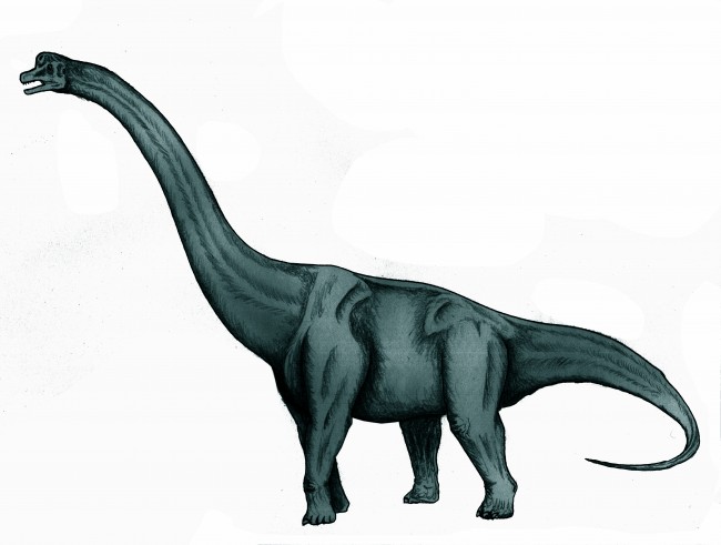 Sauroposeidon