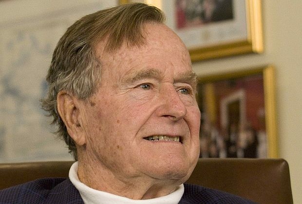 bush