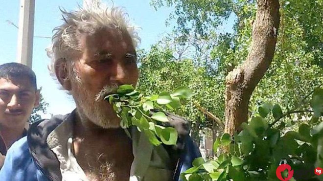 Вижте козята диета на този пакистанец! Цял живот пасе листа и клони, и не се е разболявал!