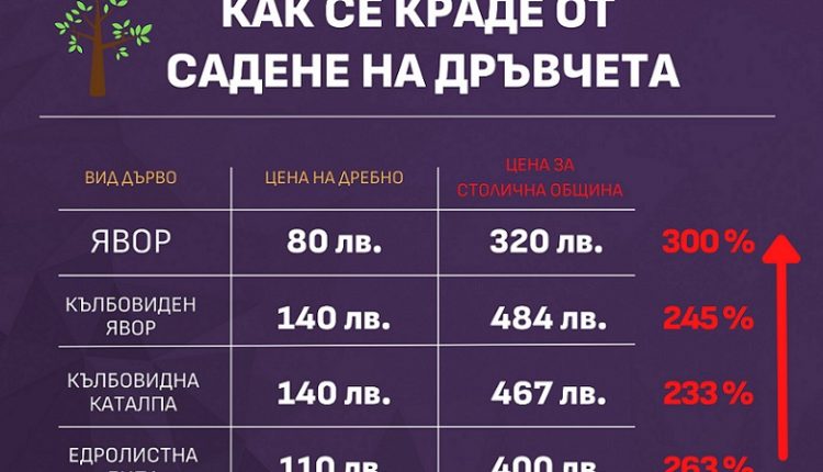 Ето как Фандъкова „усвоява” пари от… дръвчета (ФРАПИРАЩИ разлики в цените, които изяждат бюджета)